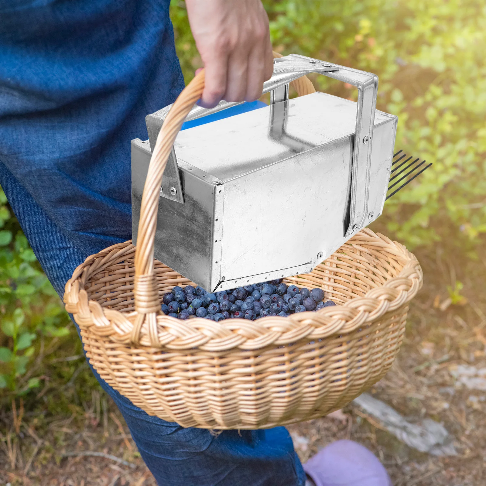 

Инструмент для сбора черники с грабли, расческой, корзина для ловли фруктов, металлическая конструкция, легкий портативный инструмент для легкого сборки ягод