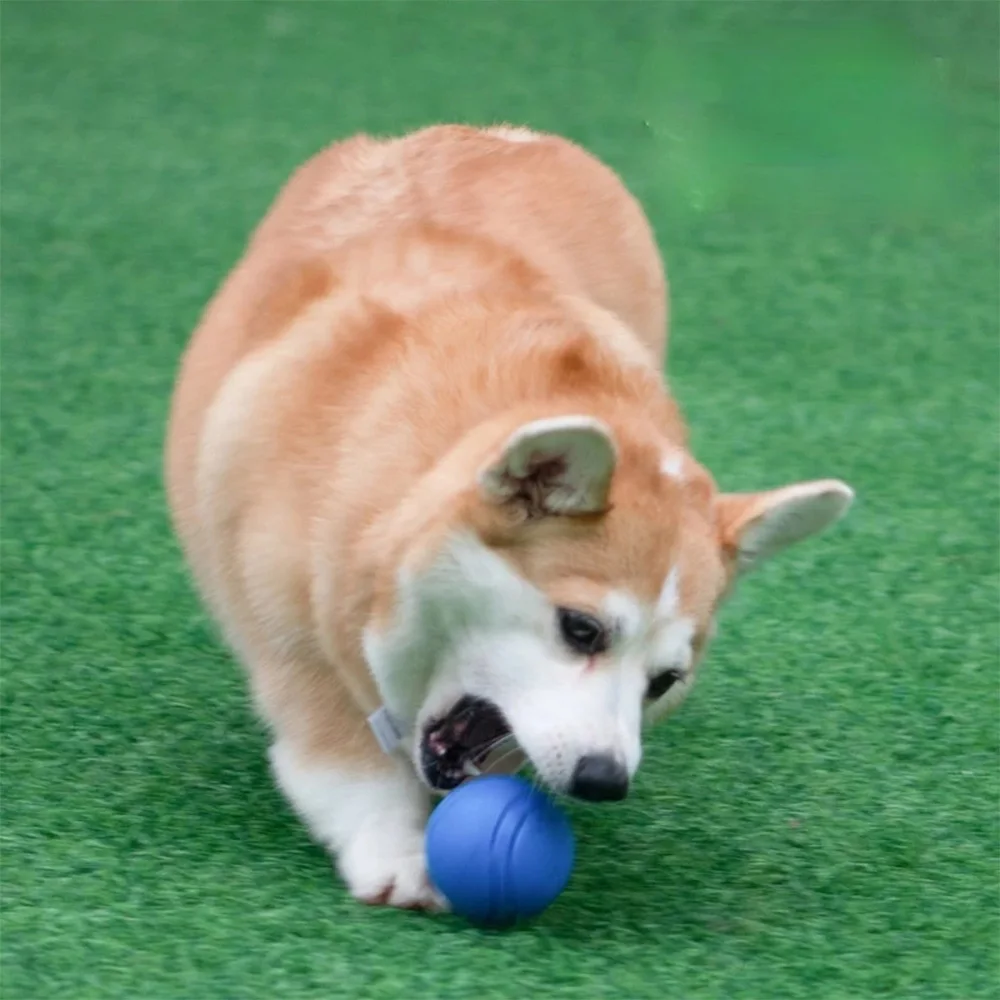 Hundespielzeug Hundeball Hunde-TPR-Ball Widerstandsfähiges Kauspielzeug für Hunde Outdoor-Wurf- und Auffangtraining für Hunde – Detail 6