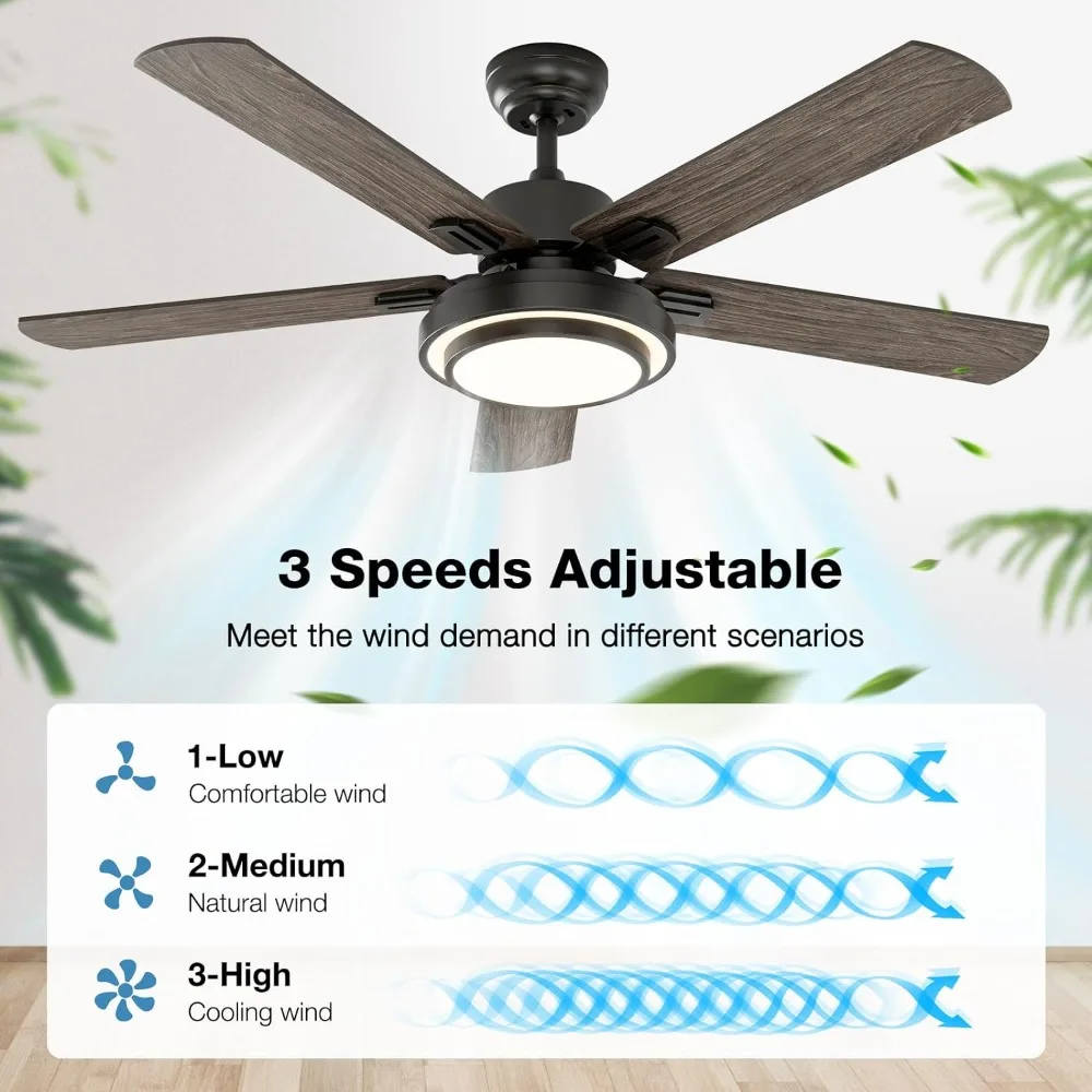 Ceiling Fan with Lights Remote Control, 52 Inch, Black (5-Blades)