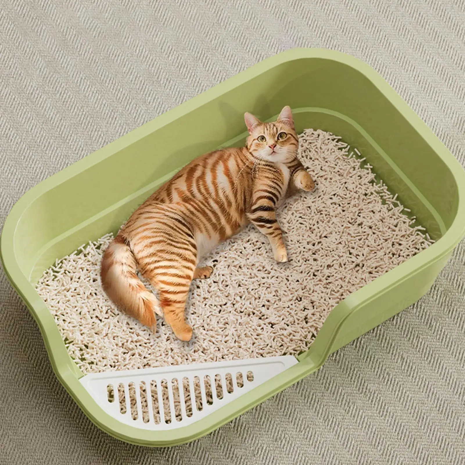 #31 Top 40 Cat Bed Pans Worth Buying In 2026