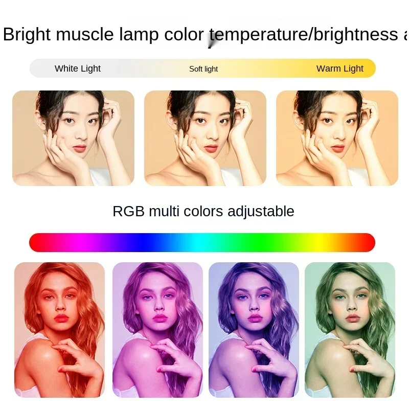 RGB フィルライト デスクトップ オールインワン 10 インチ リング型美化 ライブ ブロードキャスト 統合スタジオ リモコン アクセサリー