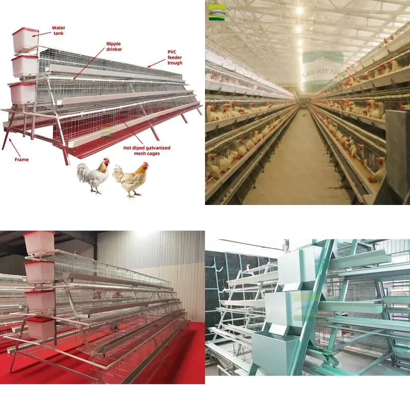 2026 CE Galvanized Automatic Farming Equipment Type a Laying Hens Chicken Layer Battery Steel Cages
