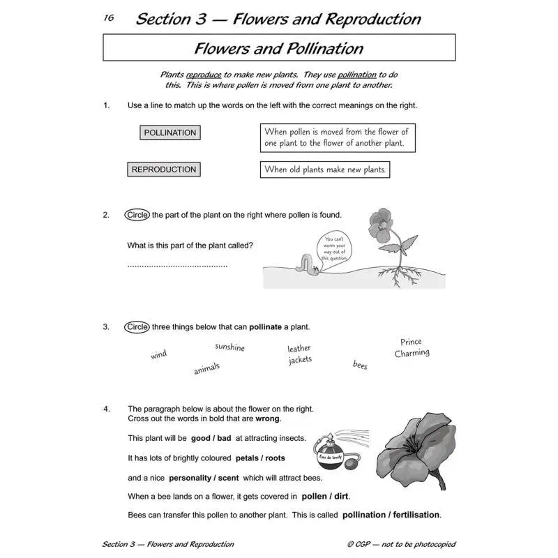 KS2 Science Year Three Workout Plant Life CGP Books Coordination Group Publications 9781782940791 Book
