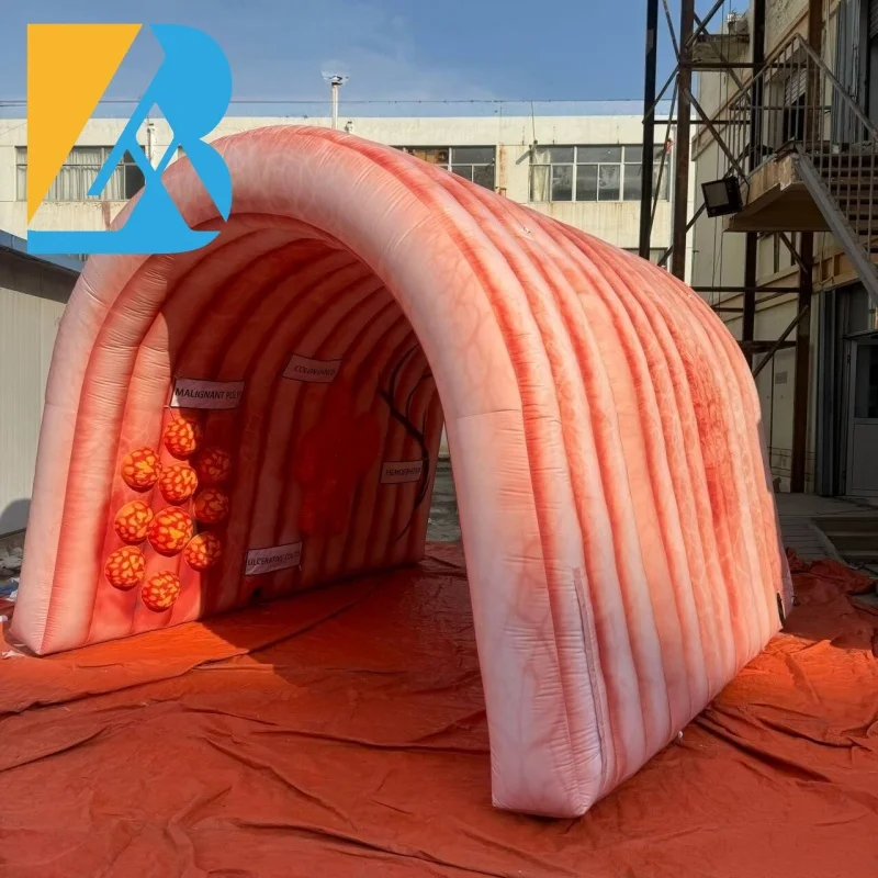 Bespoke Events Decorative Giant Inflatable Intestine Tunnel for Medical Exhibition Props Toys