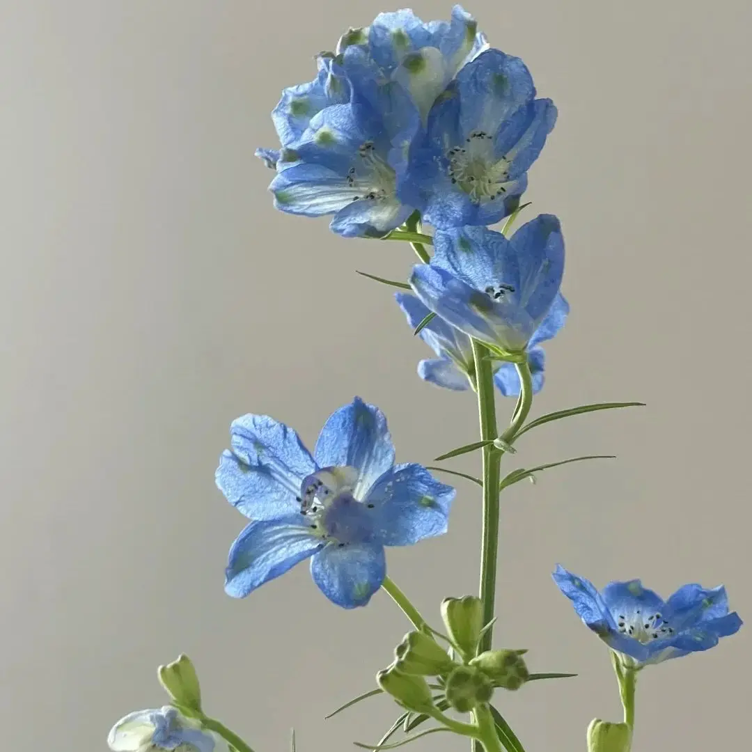 

16S1P 60V 3000mah 132wh 3Ah 174Wh 18650 li-ion battery pack built-in BMS for Electric wheelbarrow Unicycles skateboard