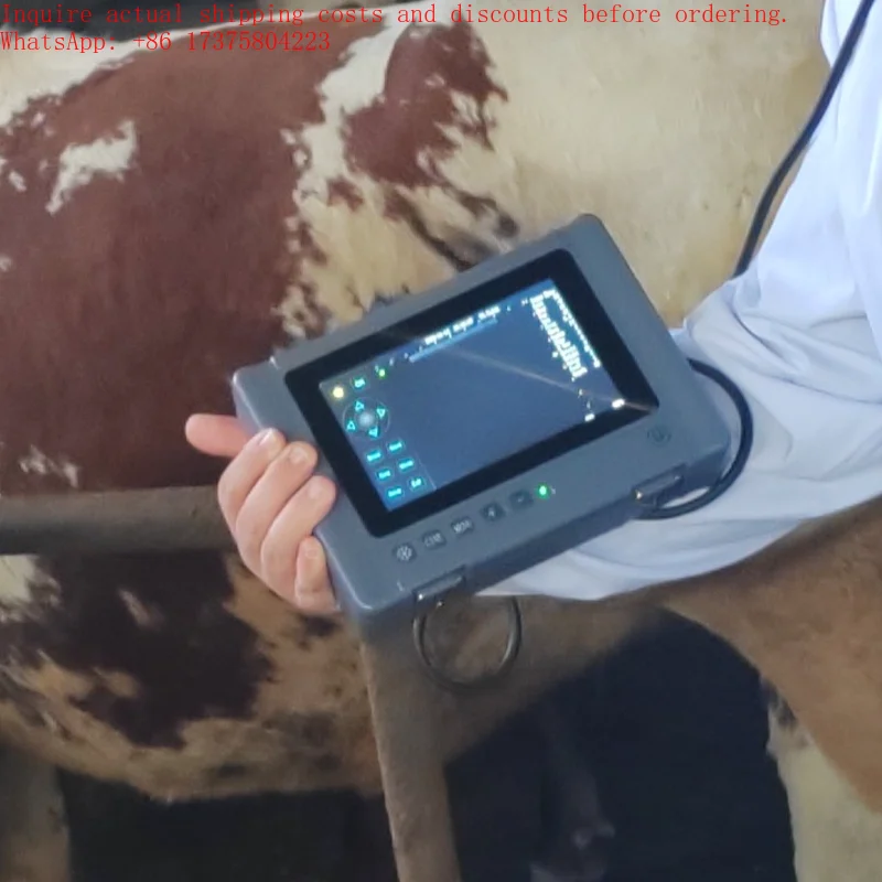 2026 JZ-RADUT1 Port…