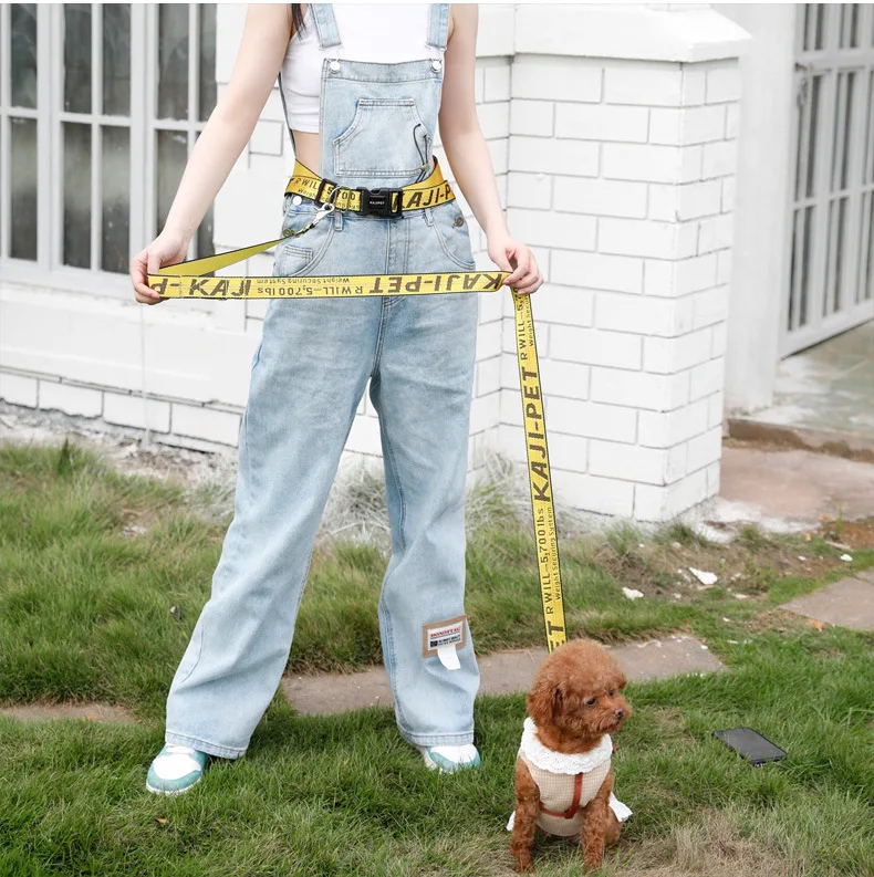 Hands Free 160 cm  Adjustable Pet Dog Cat Leash Rope with Waist Belt for Walking Running Training Fashion Leash Dog Accessories