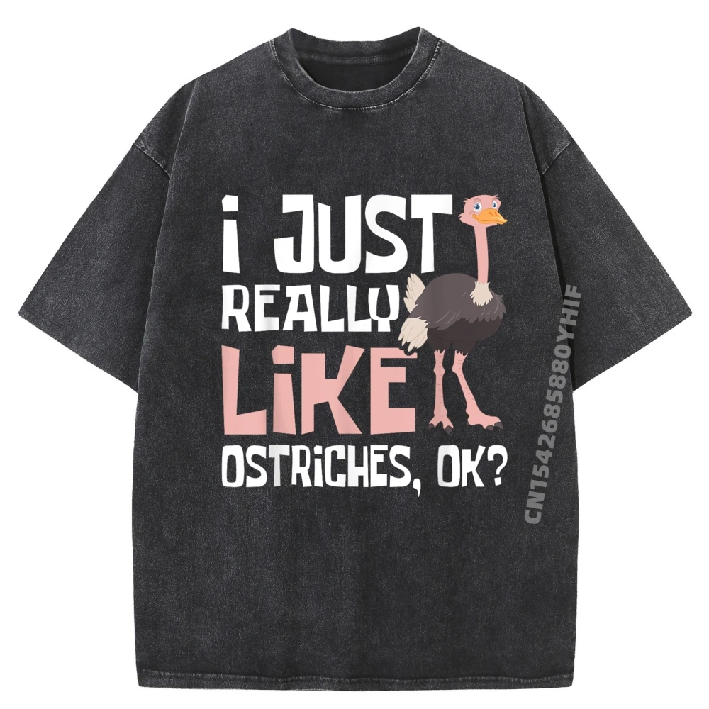 

I Really Like Ostriches Ostrich Farmer Zookeeper Luxury Designer Plus Size Printed Tees Mens Loose Washed Shirt England Style