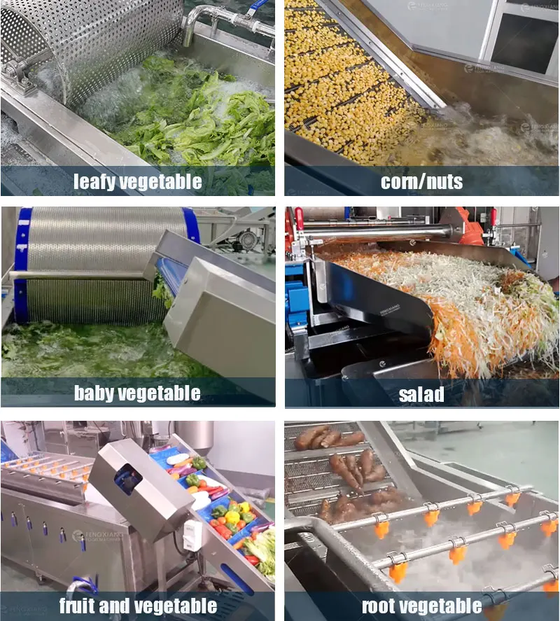 Industrial Fruit Vegetable Clean Line Commercial Vegetable Fruit Corn Sorting Washing Blanching Air-Drying Machine