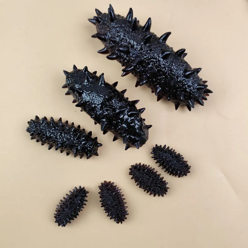 

Simulated Sea Cucumber Model Fake Seafood Hotel Restaurant Decoration Simulated Food Decoration Teaching Materials Props
