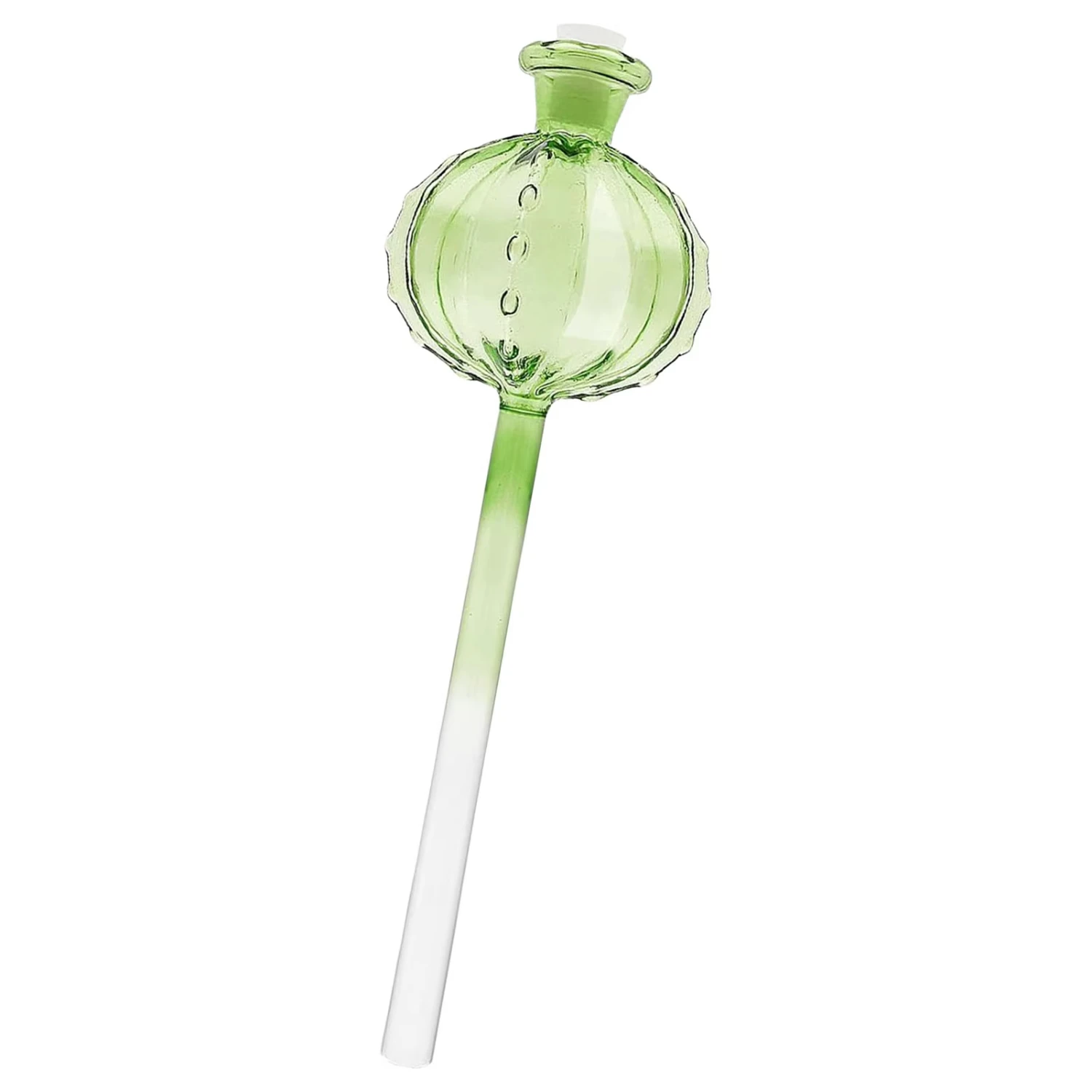 

Clear Plant Automatic Watering Globes Watering Drip Irrigation Equipment Bulbs Indoor & Outdoor Plants xqmg