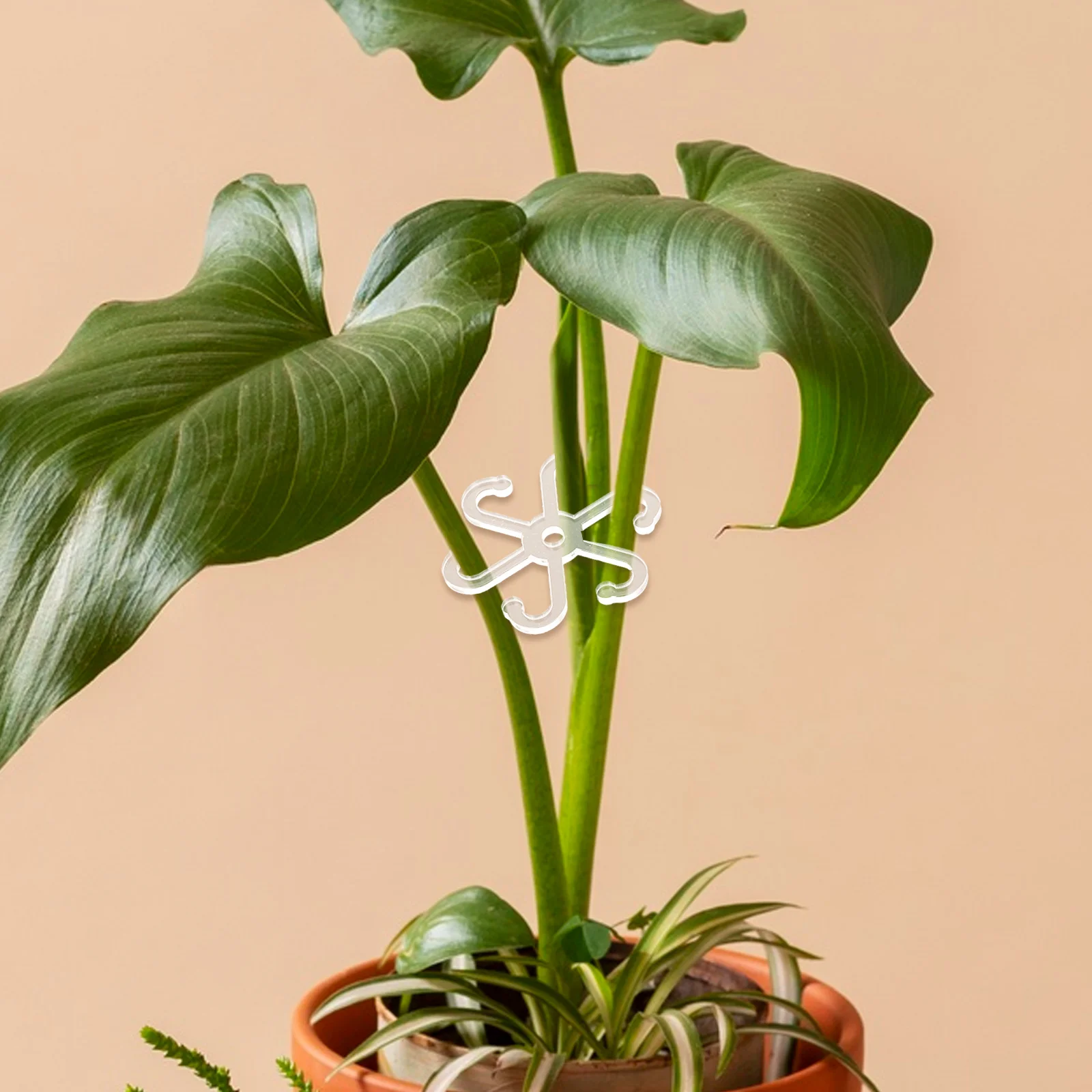 

4Pcs Plant Stem Support Acrylic Monstera Leaf Holder Sturdy for Indoor Outdoor Houseplants Reusable Cultivation Tool