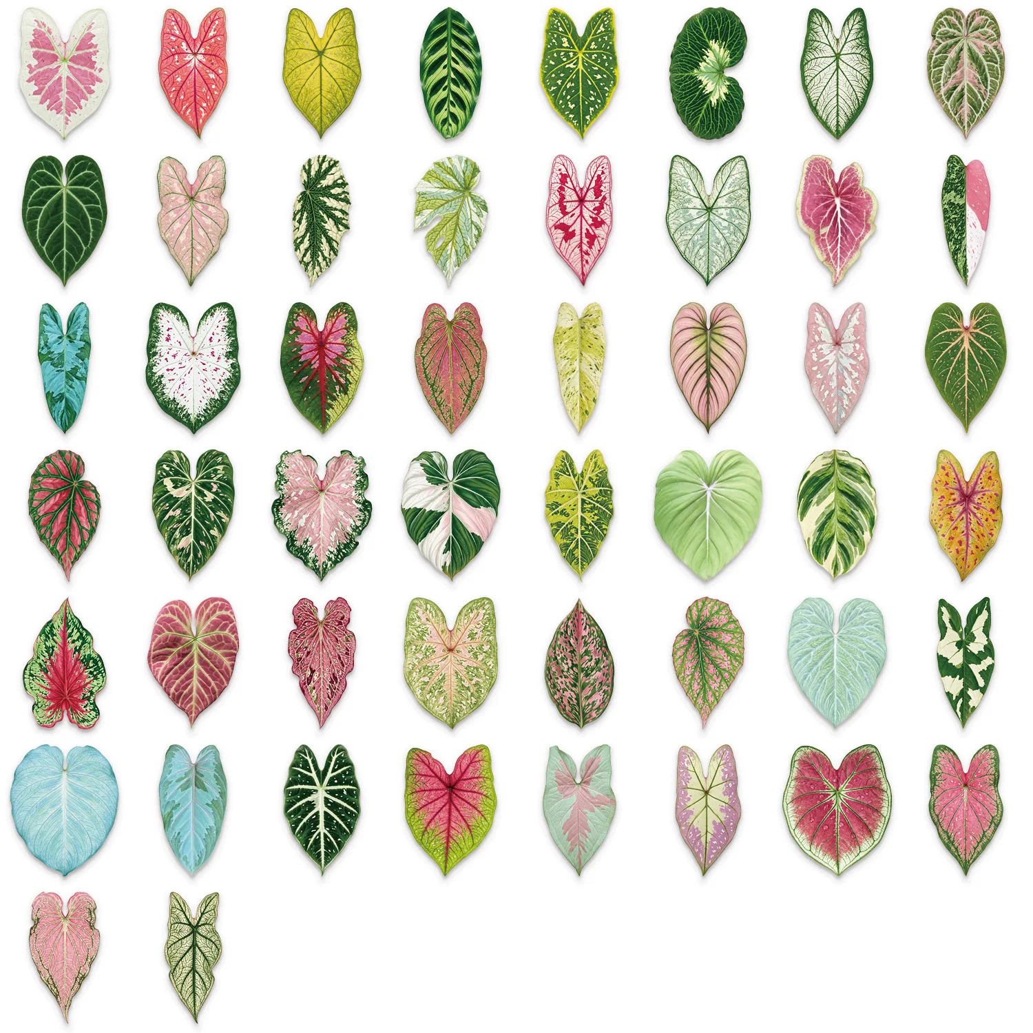 50 Pcs Cartoon Artistic Plant Stickers Transparent PET Waterproof Journal Supplies for Guitar Notebook Laptop Gift