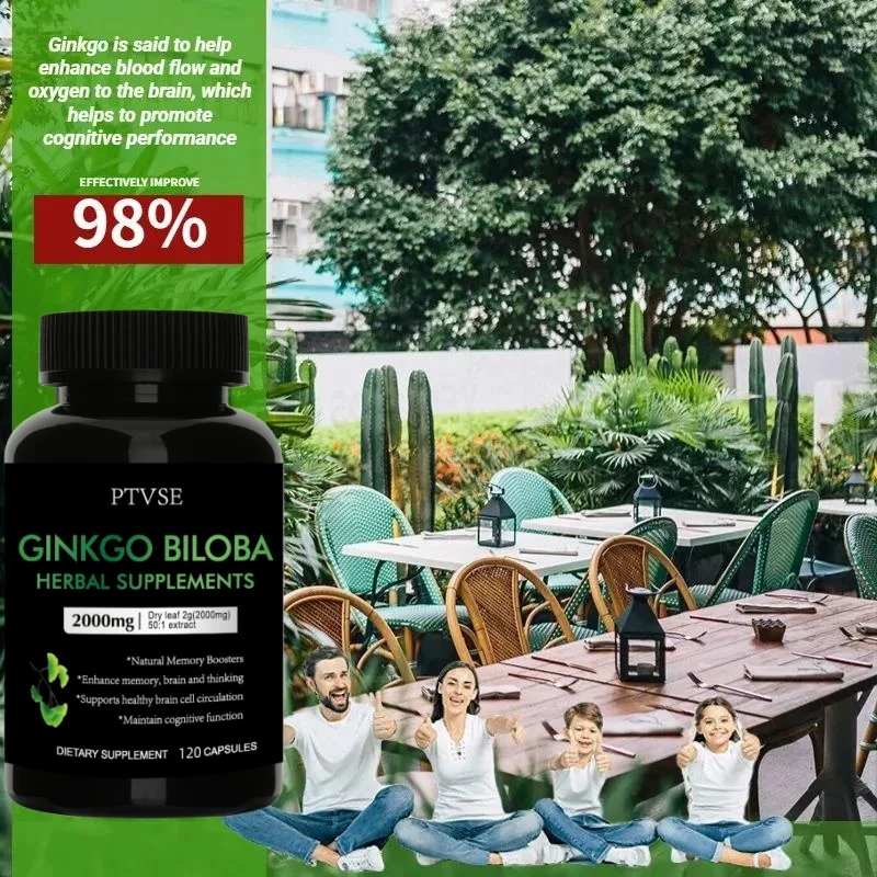 Ptvse-cápsulas Extra de Ginkgo Biloba para hombres y mujeres, suplemento alimenticio sin GMO, 120