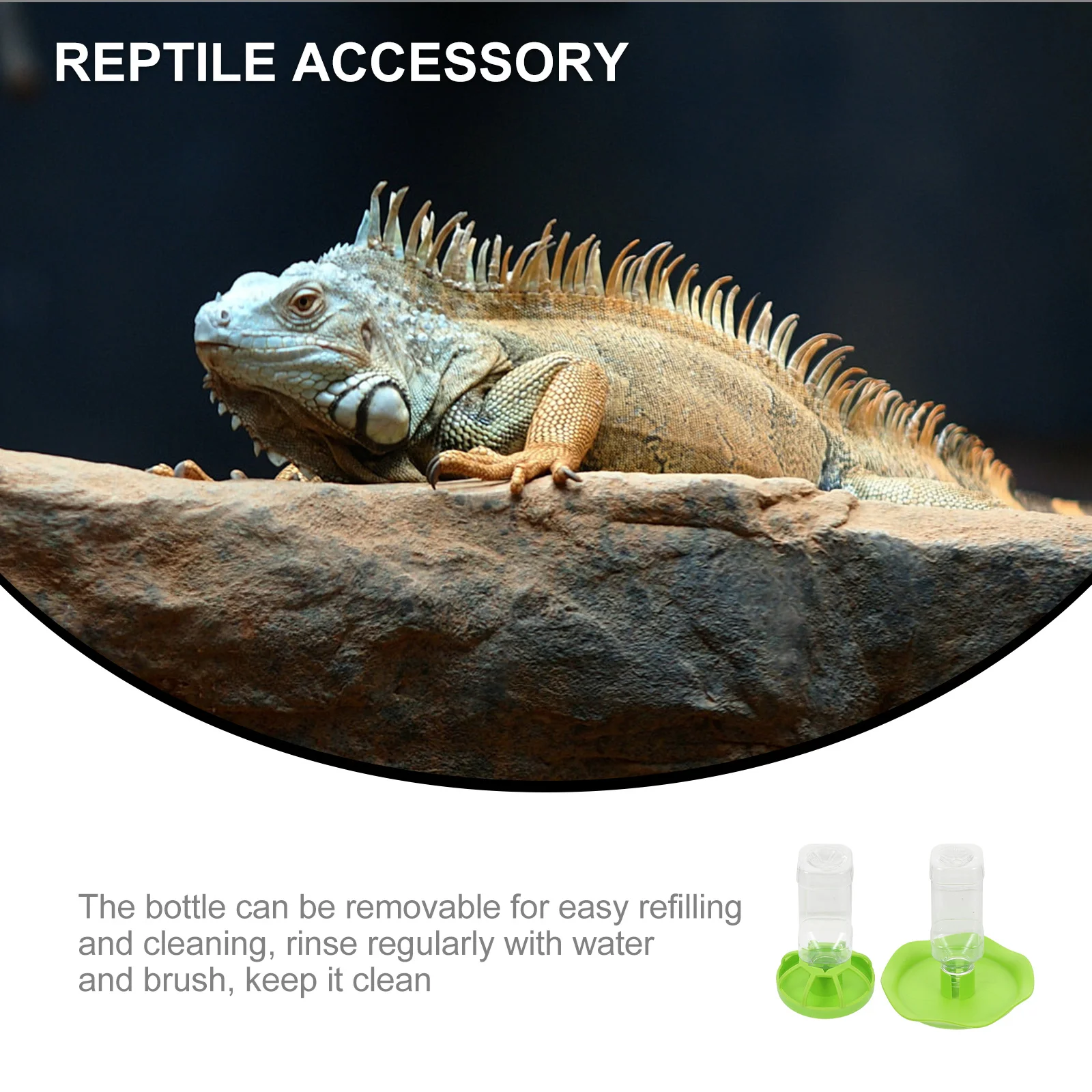 

2Sets Reptile Water Feeders Lizard Drinking Tools Smooth Surface Easy Clean Pet Supplies Reptile Water Feeders