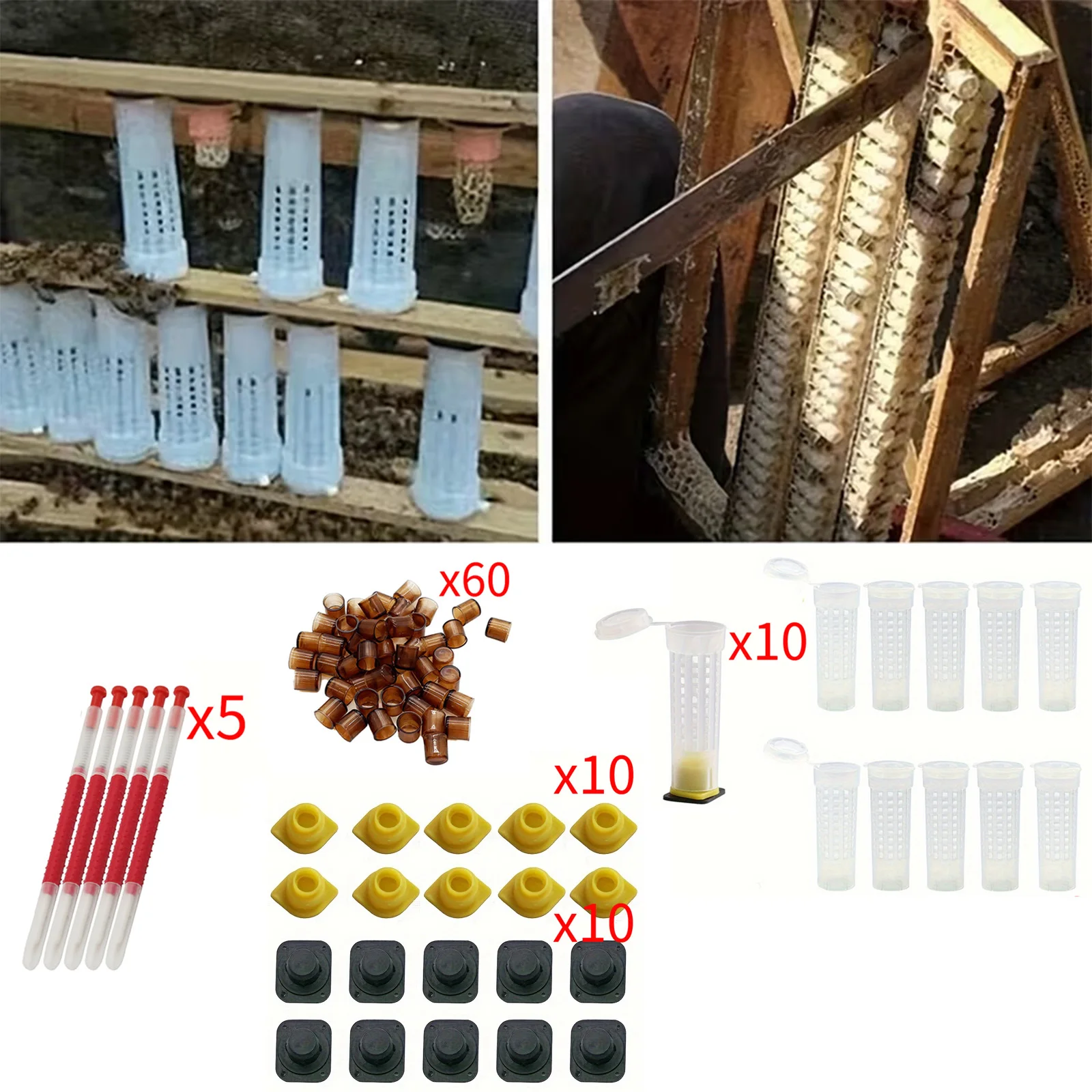 Bee Queen Breeding Set 60 Rearing Cups+10 Queen Cages+5 Grafting Tools Reusable Plastic Beekeeping Equipment for Beekeepers