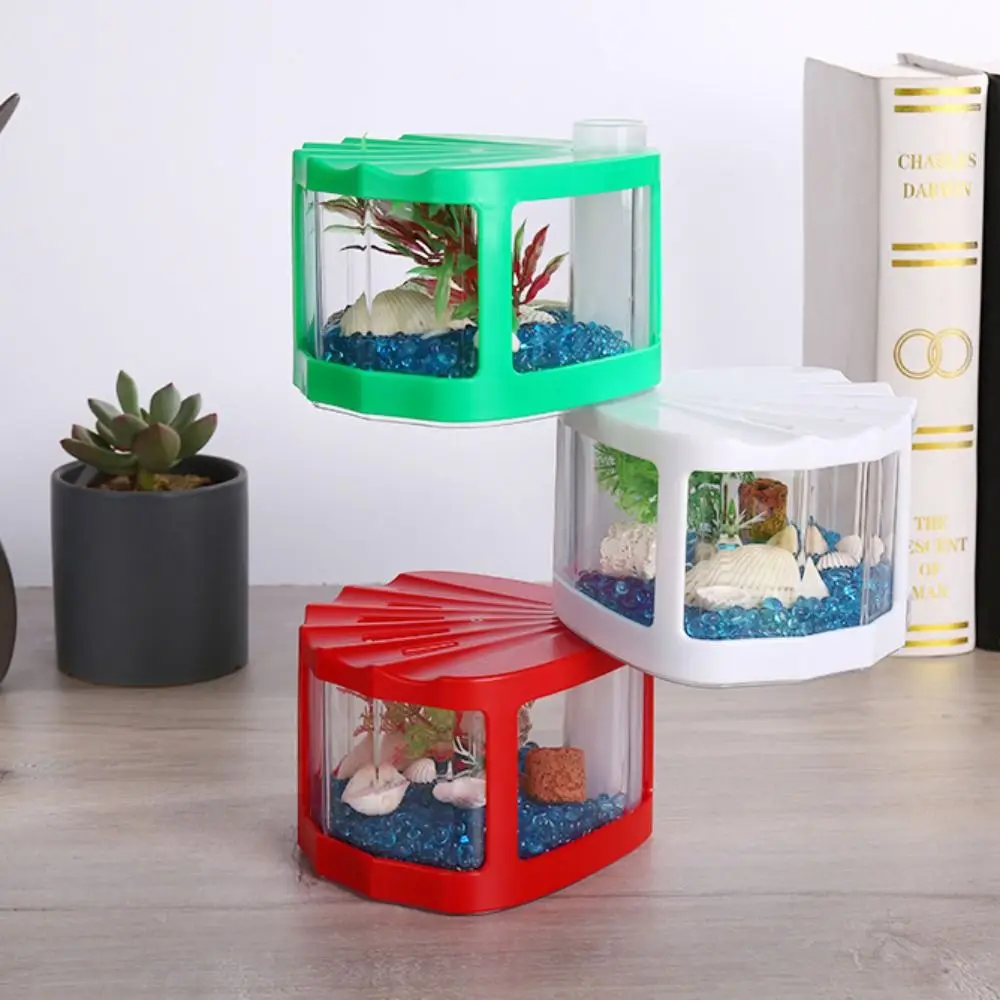 Plastic Betta Fish Tank Micro-Landscape Fan-shaped Breeding Box Fighting Fish Cylinder Tropical Fish Building Block Aquarium