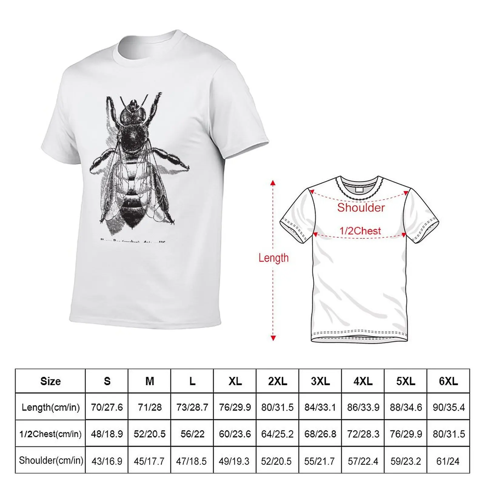 Honey Bee - Vintage Scientific Illustration T-Shirt Man t-shirt customizeds mens graphic t-shirts