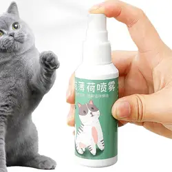 Catnip Spray For Cats Natural Maximum Potency Cat Nip Bundle High Potency Catnip 50ml Safe Non-Addictive Catnip Feline And Cat