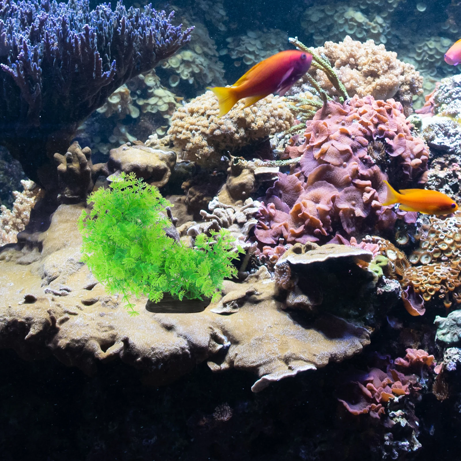 

Artificial Aquarium Plants Realistic Plastic Fish Tank Decoration Accessories Vivid Design Long Lasting Safe Easy Clean