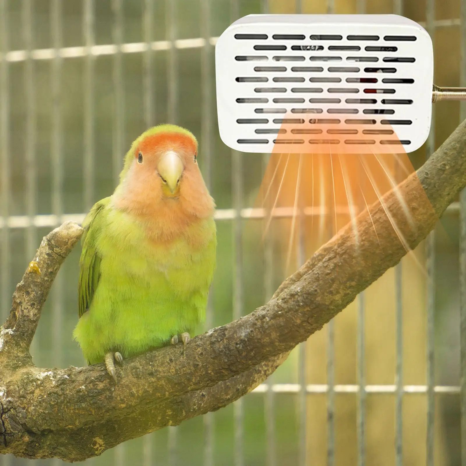 Bird Cage Heater Anti Bite Wire Winter Birds Heat Lamp Bird Perch Stand Warmer for Parrots Frogs Snake Parakeets Reptiles