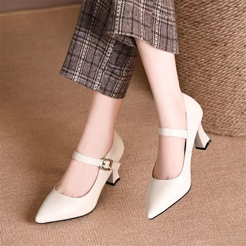 Retro Brown Black Mary Jane Pumps Women\'s Fashion Pointed Chunky Heel High Heels Elegant Simple Solid Color Office Women\'s Shoes