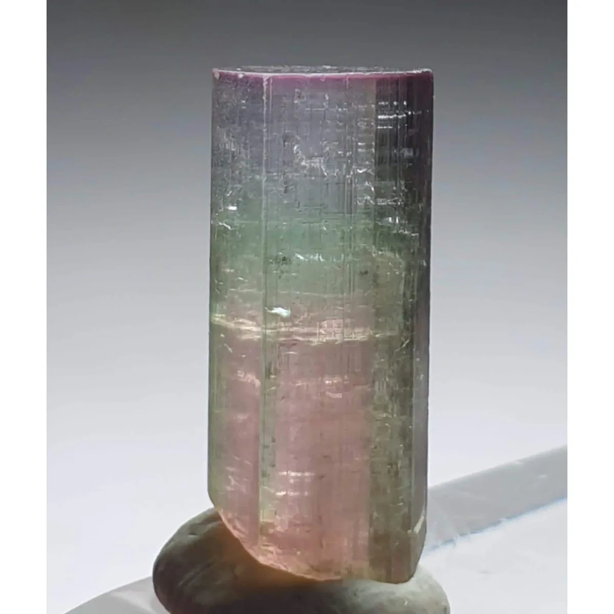 Brazilian Elbaite Rough Stones, 10g 5-15mm Mixed Colors, Display Box for Living Room Decor & Stone Collection