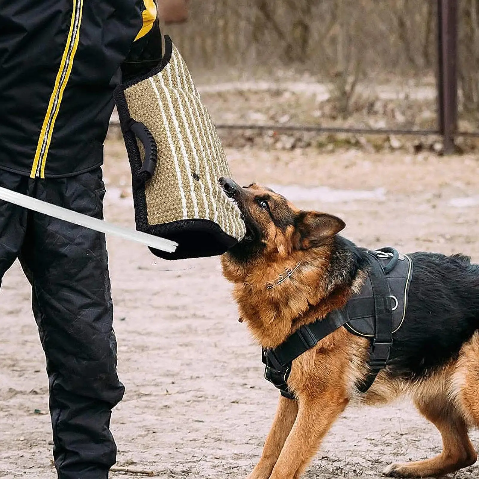 Dog Bite Sleeve Dog Bite Pillow Tug with Training Stick for Training Malinois German Shepherd Rottweiler Durable Pet Chewing Toy