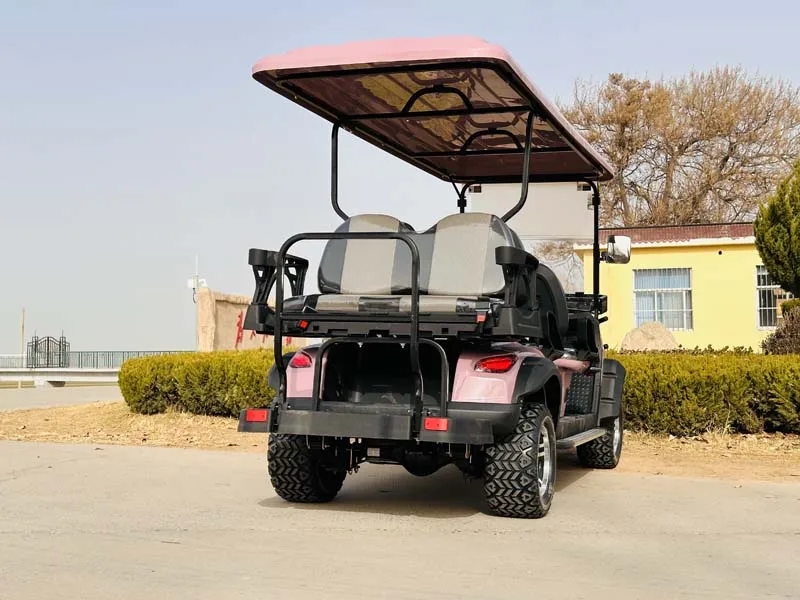 حار بيع جديد 4 مقاعد رفع على الطرق الوعرة الكهربائية الصيد عربة جولف عربات التي تجرها الدواب الكهربائية #6