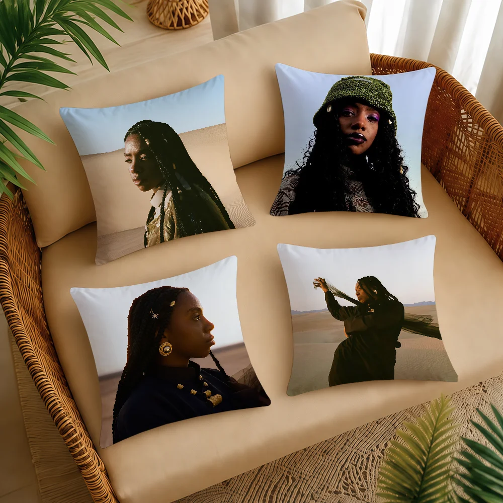 Dua Saleh Of Earth Wires Cushion Cover Square Decorative Throw Pillow Case Sofa Bed Living Room Anniversary Gifts