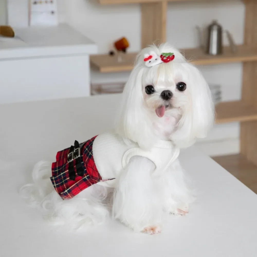 Autumn/Winter Pet Plaid Skirt Dog Dress Cute Pet Dress Teddy Bichons Maltese Dog Dress Puppy Clothes Dog Clothes for Small Dogs