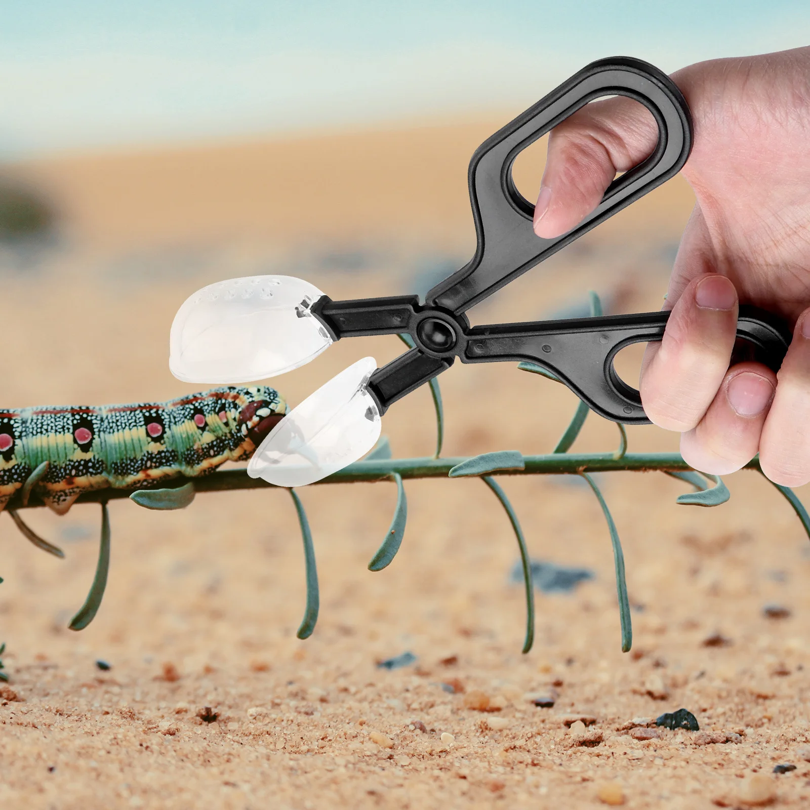 

3Pcs Reptile Feeding Tongs Mealworm Breeding Clip Strong ABS Material Comfortable Grip Feeding Tool for Crickets Locusts