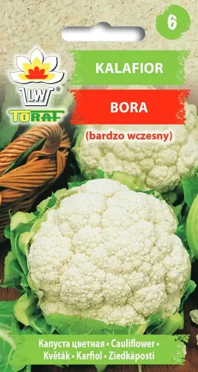 Cauliflower Bora 1g vegetable cauliflower seeds