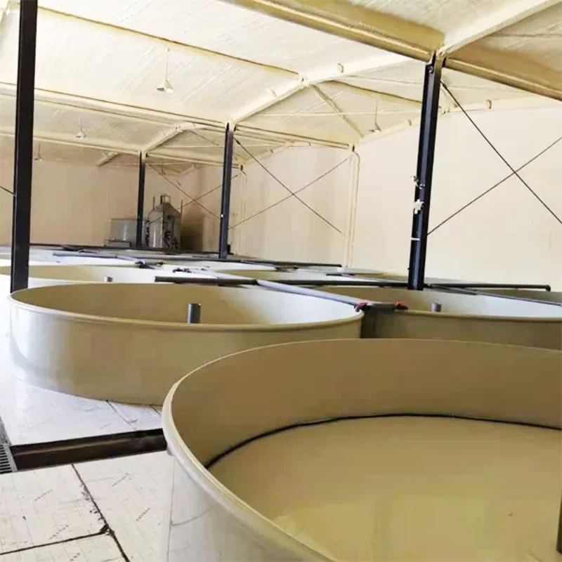 Ras System Tilapia Fish Egg Incubators Aquaculture Equipment Tanks for Indoor Fish Farming System Ras Tilapia