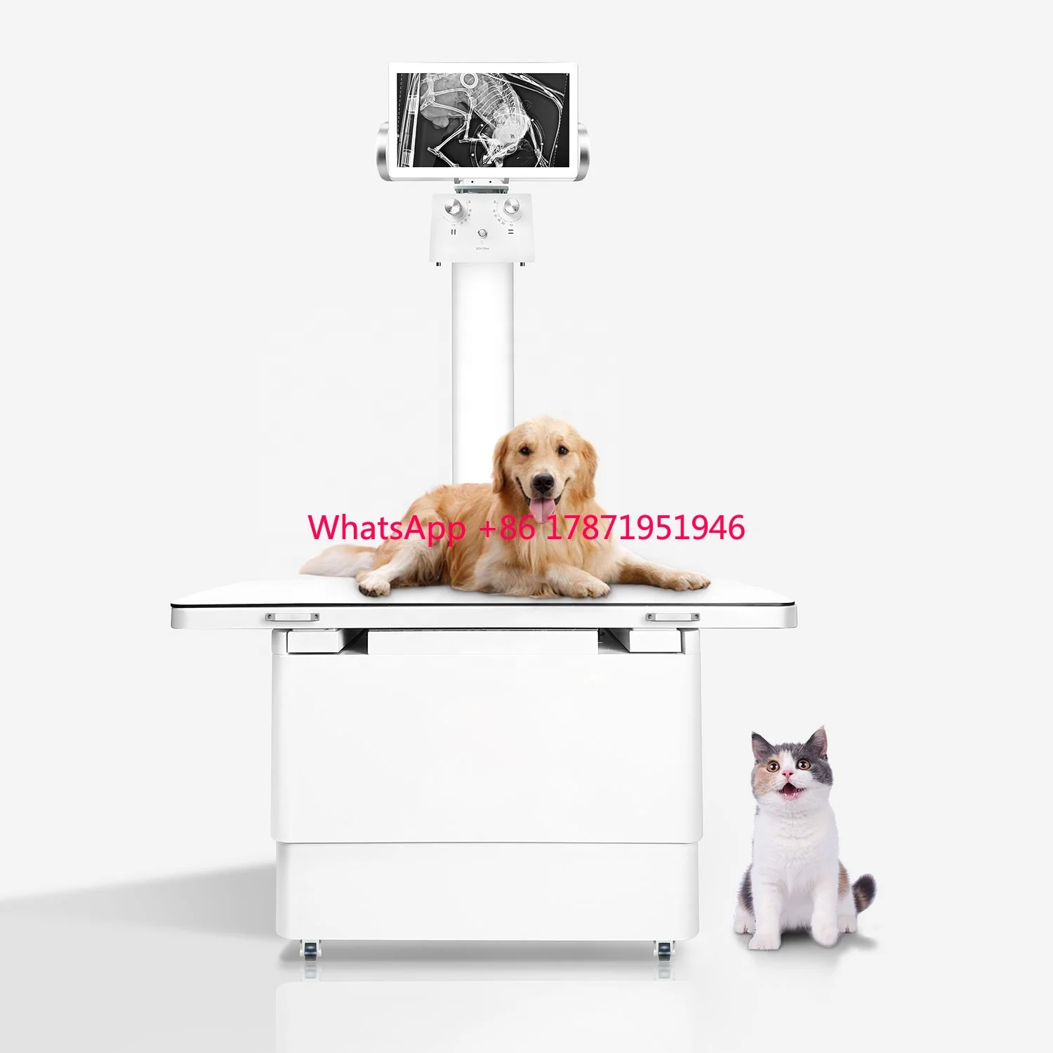 Medical Instrument X-ray Equipment Digital Vet Dr Table Machine Pet Clinic Flat Panel X Ray Detector DR System DR Machine