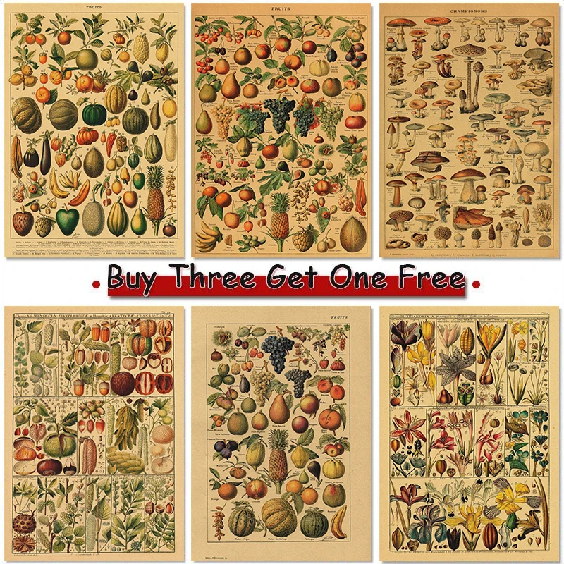 Insects Plants Animals Fruits Poster Plants Kraft Paper Posters Vintage Home Room Bar Cafe Decor Aesthetic Art Wall Painting