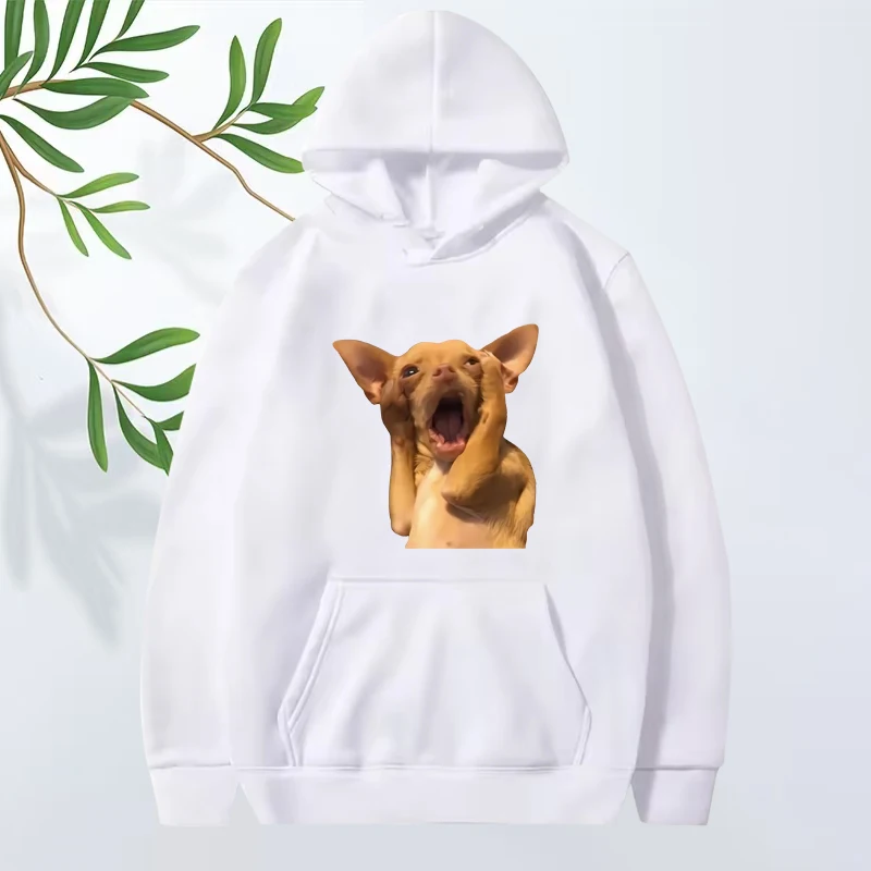 Funny Dog Cute graphic hoodie 2025 men women High Quality Long sleeve fashion cool Sweatshirt with print oversized hoodie unisex