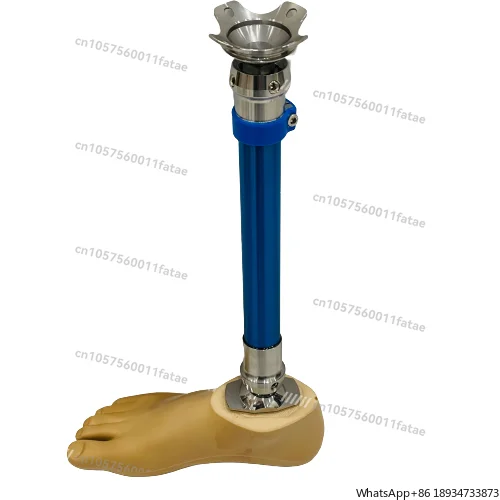 

Leg Prosthesis Orthopedic Artificial Limb Prosthetic Leg Parts Below Knee