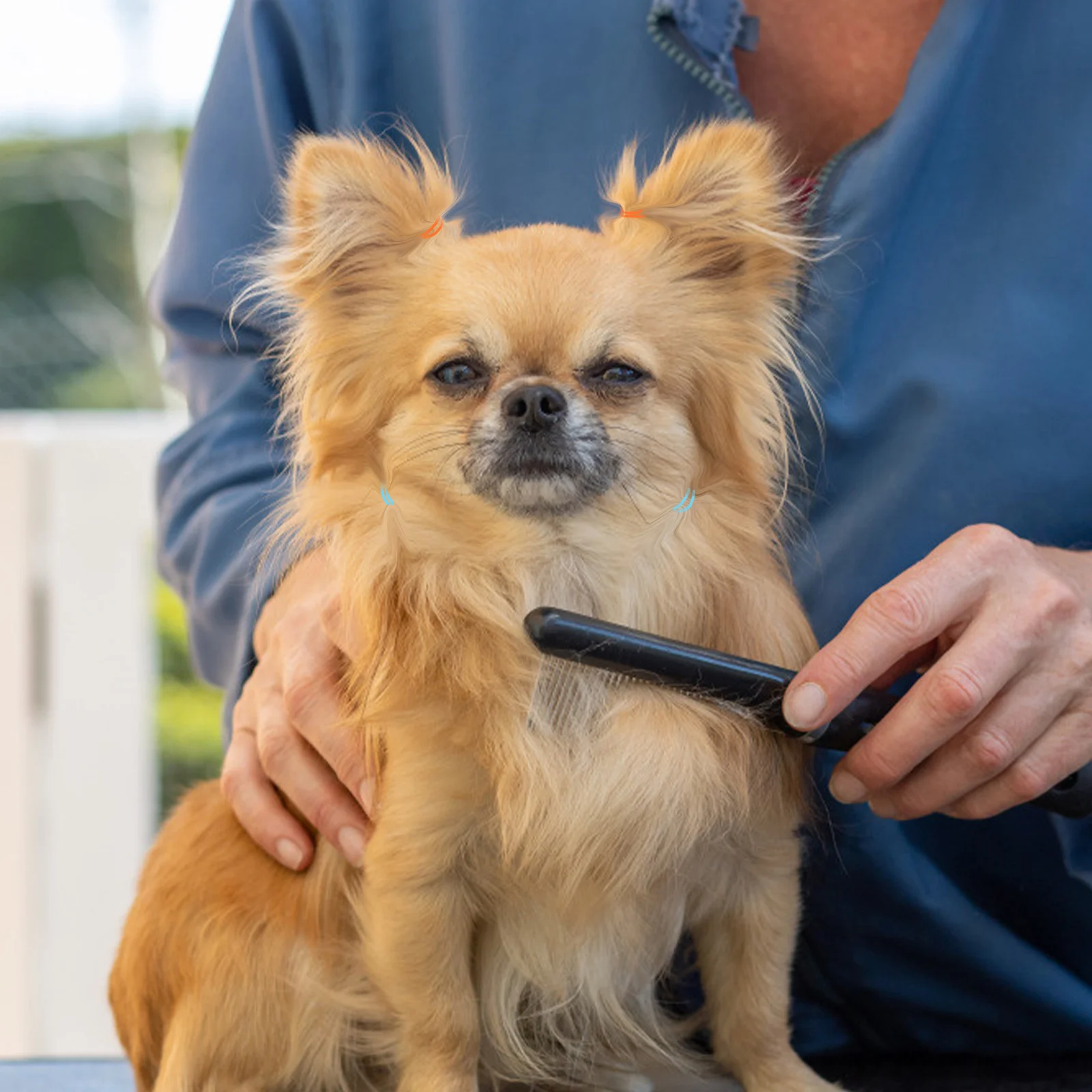 

500Pcs Pet Hair Ties Exquisite Bands for Dogs Cats Ponytail Holders Festival Decor Pet Hair Tie Disposable Rubber Band