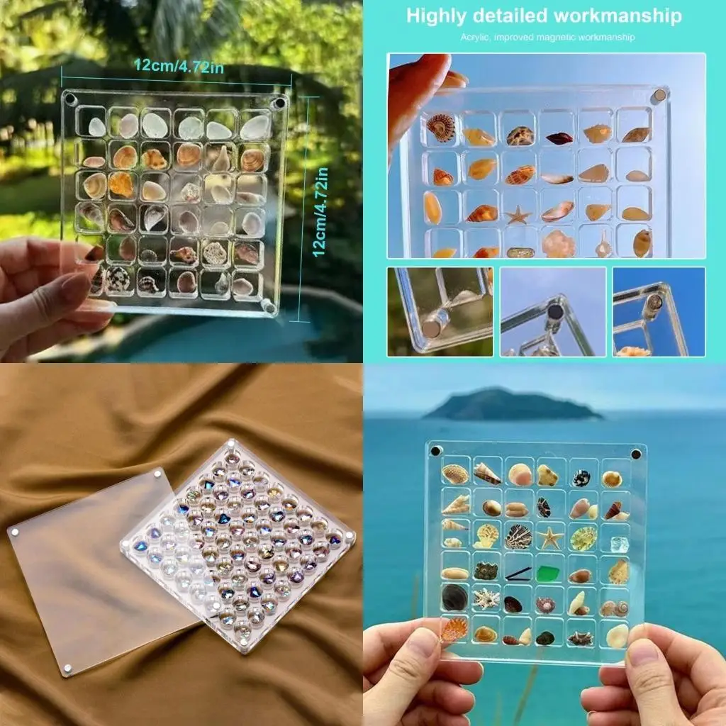 

Practical Storage Box with Seal Practical Acrylic Shell Box Holder for Marine Enthusiasts N2UD