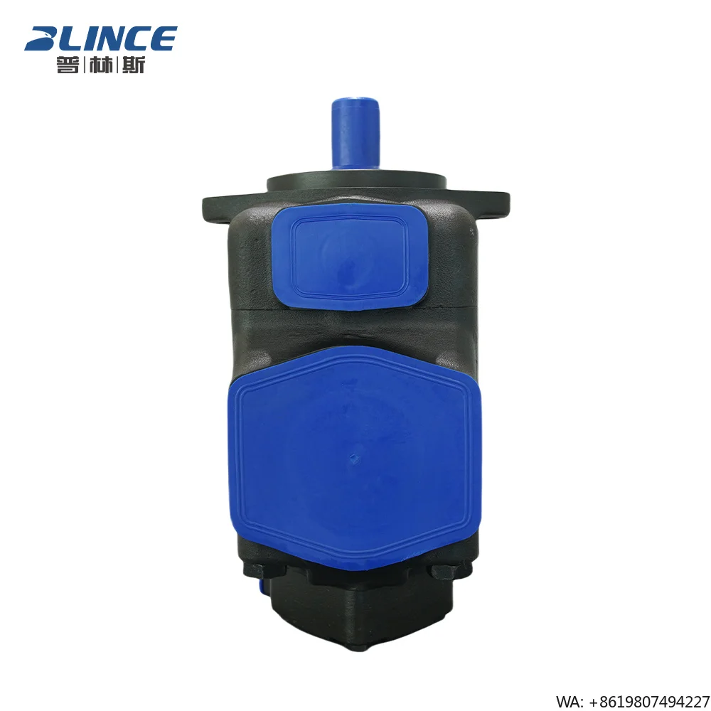 Blince Manufacturer High Performance V Series Low Noise Double Pumps Single Pumps for Plastic  ry