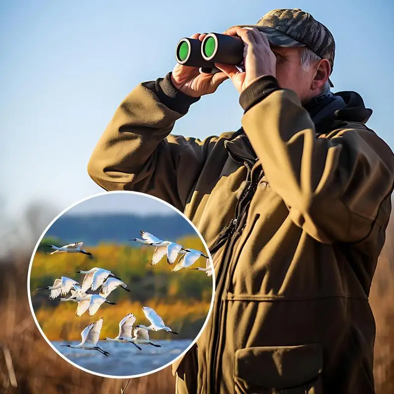 

Bird Watching Binoculars 500x25 Travel Pocket Binoculars Waterproof Cruise HD Binoculars Large View Binoculars With Phone
