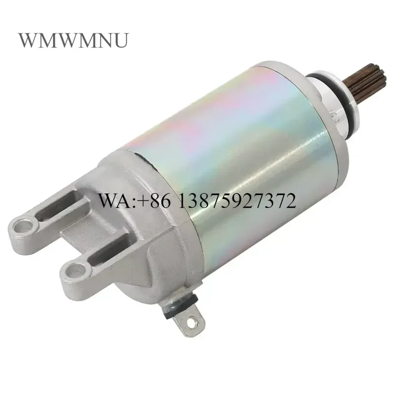 Wmwmnu Motorcycle Electrical Starter Engine Motor for GSF650 GSF650S GSX650F Bandit 650 ABS 31100-17H00