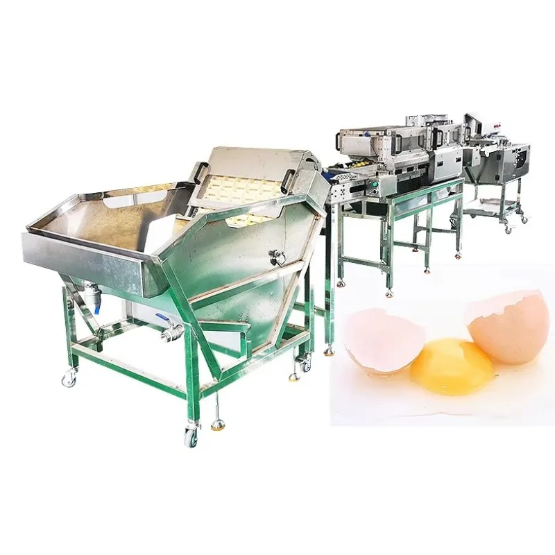 Industrial Mini Egg Washer Egg Washing Breaking Processing Line Shell Cracker Separator Durable