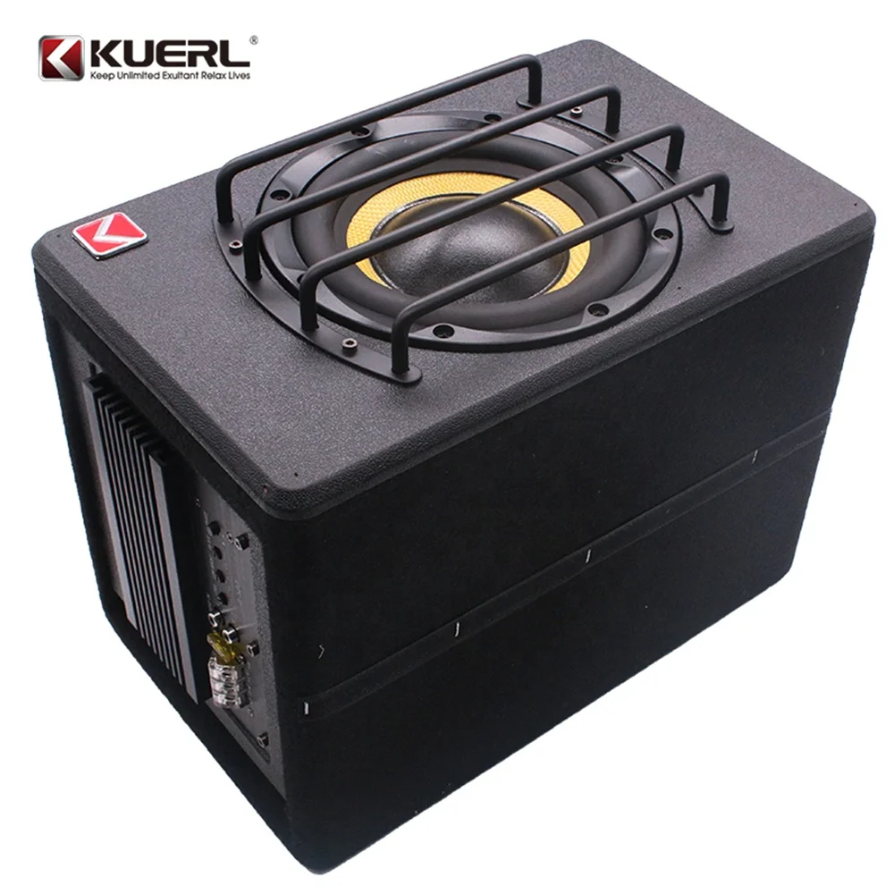Direct Manufacturer New Style 12V Car Active Subwoofer 8 Inch Double Coil Car Audio Amplifier Subwoofer With cable bag