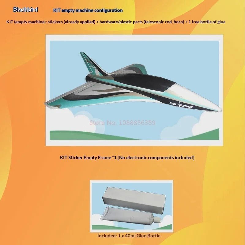 High-Speed Electric Fixed-Wing RC Airplane Black Bird 50mm Inlet High-Performance Triangular Wing Remote Control Model Aircraft