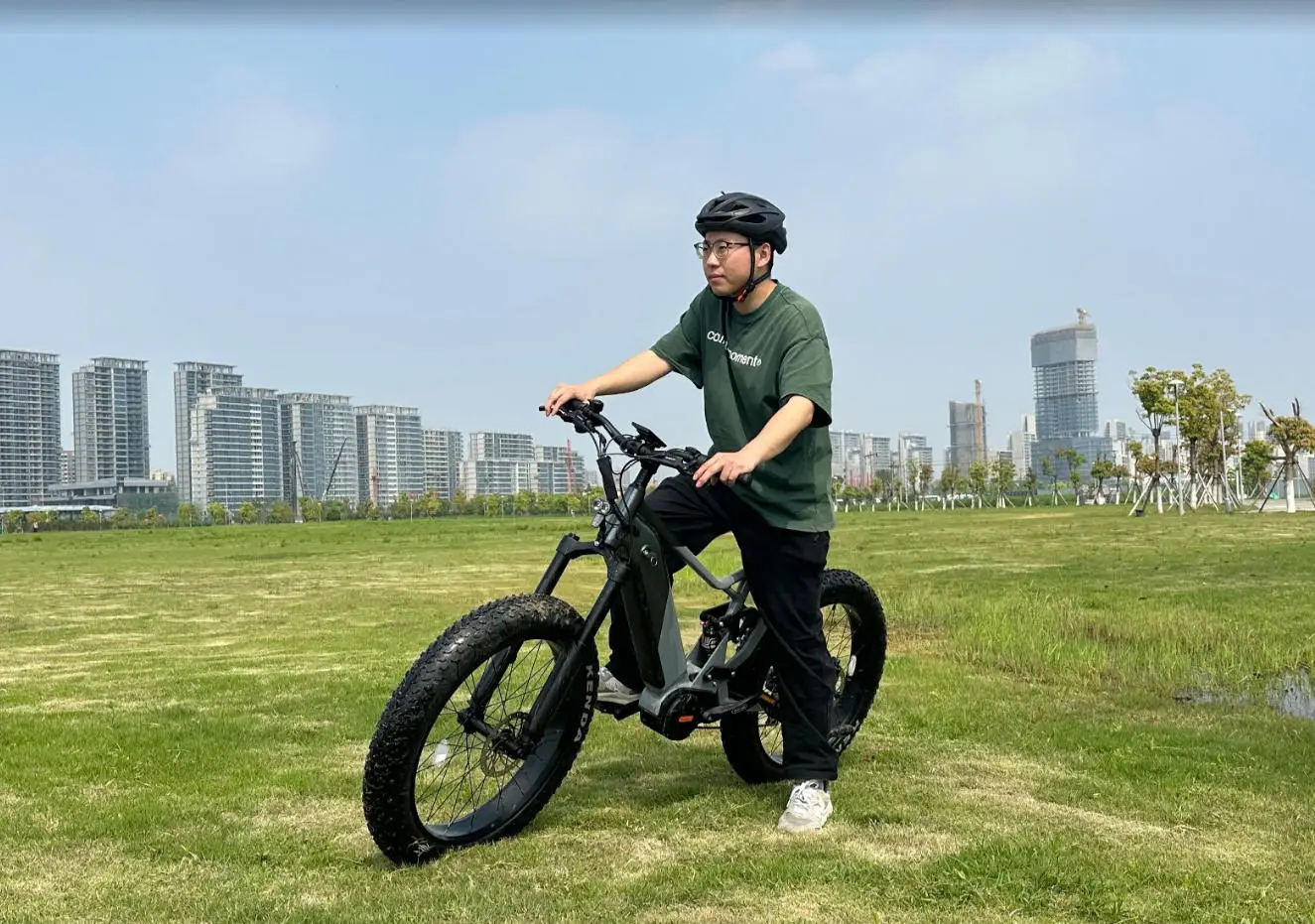 

Hot Selling Mountain/Off-Road Electric Bicycle, 48V 1000W 20Ah Super Power Mid Drive Motor, 26"*4.0 Tires, Fat Tire Ebike.