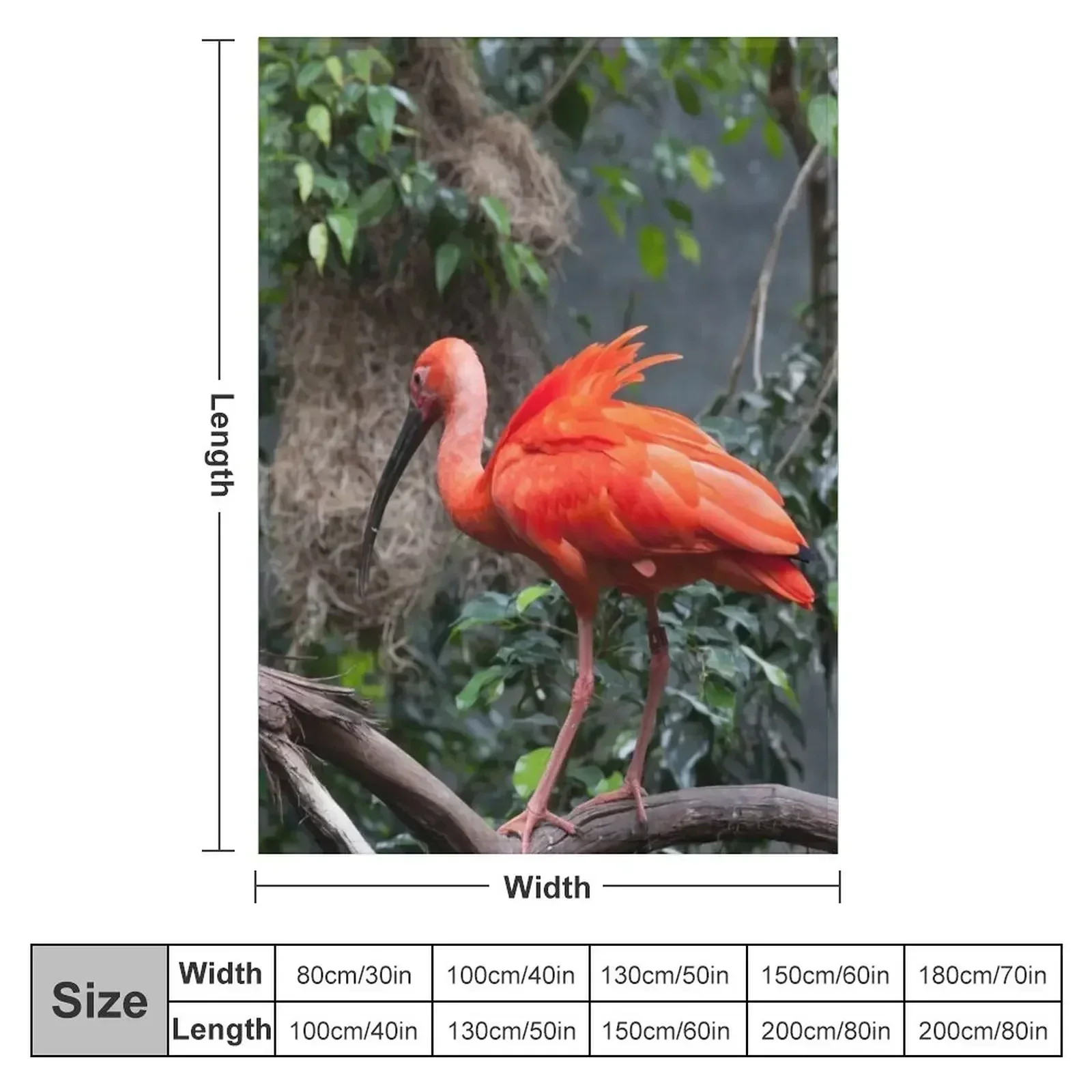 Scarlet Ibis perched on a vine Throw Blanket Bed Fashionable Hair Blankets