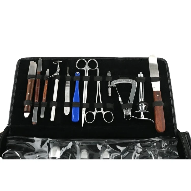 60PCS 치과 용기구 키트 치과 종합 교정 치과 임플란트학 수술 용기구 엘리베이터 집게