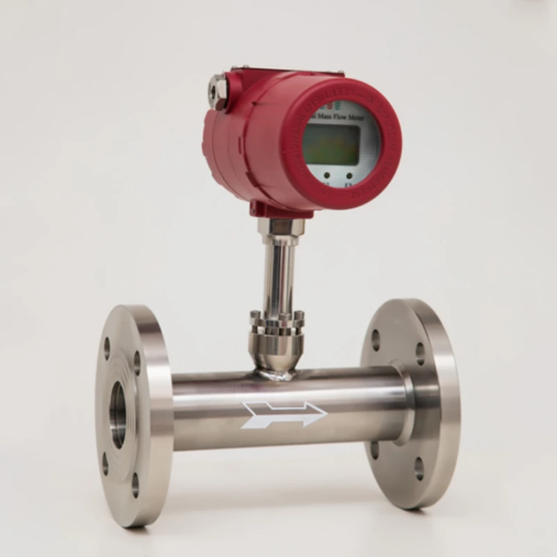 High-Precision Hydrogen Gas Flow Meter Thermal Gas Mass Flow Meter Natural Gas Flow Meters